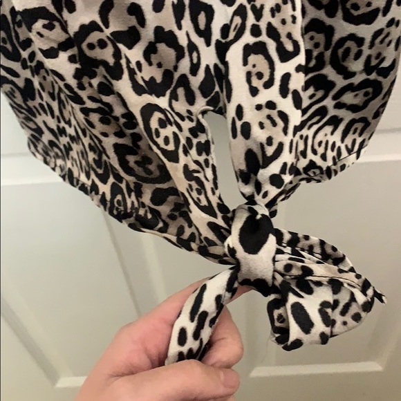 Leopard tank - Picture 3 of 5